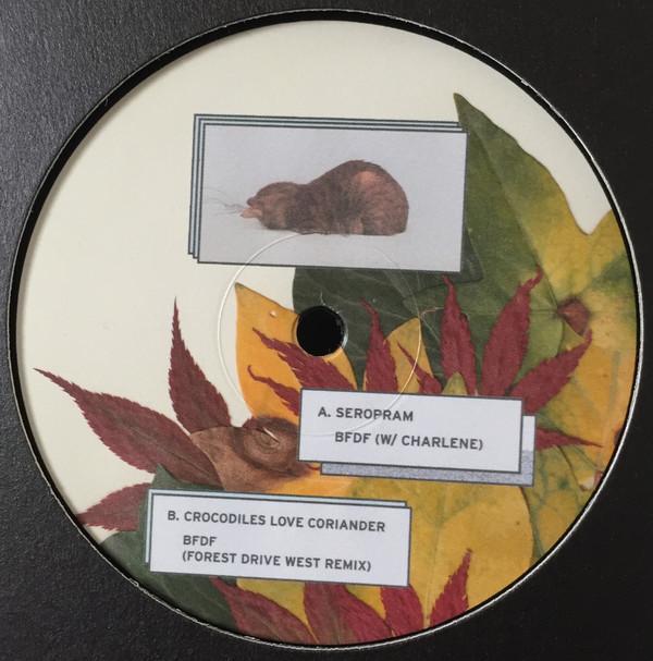 Elise  - Leaves From Yoyogi