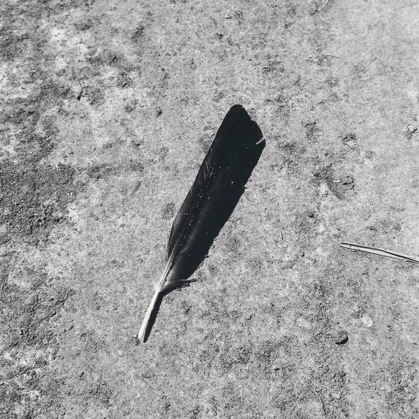 Function - Green EP