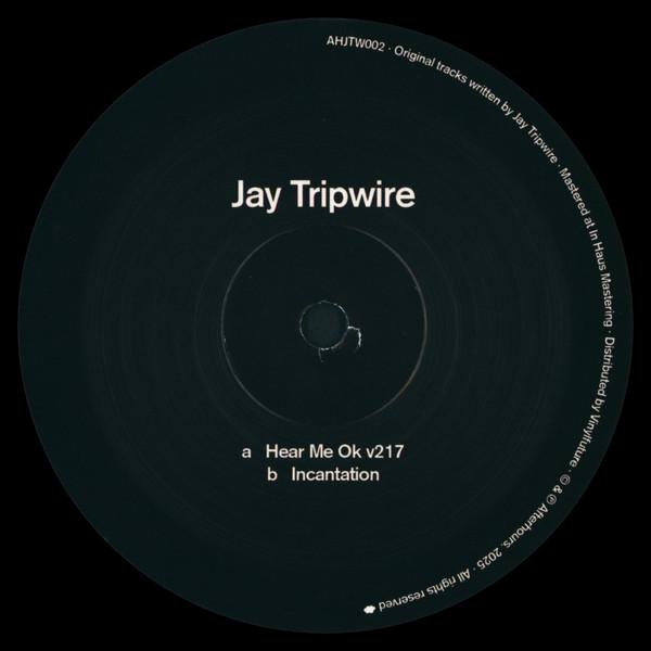 Jay Tripwire - Untitled
