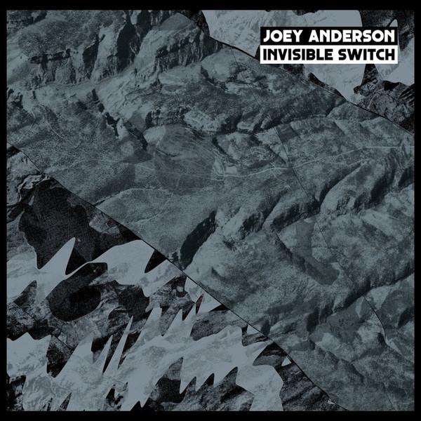 Joey Anderson  - Invisible Switch