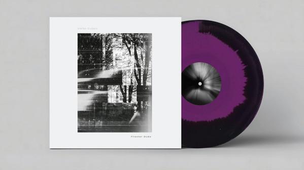 Stefan Gubatz - Fliester Dubs
